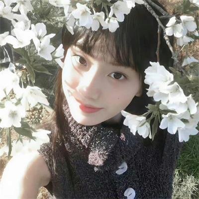 红色的种子